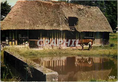 Cartes postales moderne Charmes et Couleurs de la Normandie Ferme normande