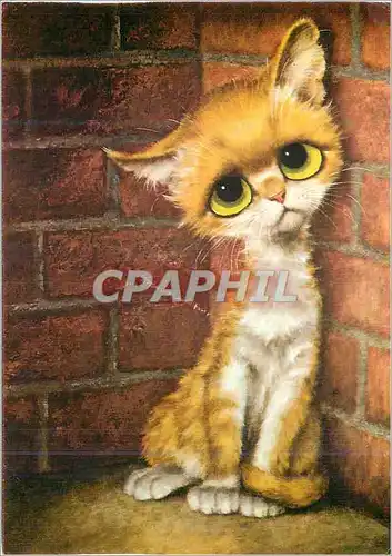 Cartes postales moderne Chat Chaton