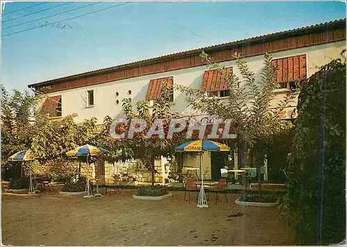 Cartes postales moderne Castelnau-Le-Lez (Herault) Hotel Restaurant de Tourisme L'Horizon