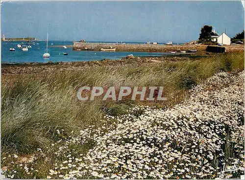 Cartes postales moderne Bretagne La Presqu'ile Sauvage Pleubian Port-Beni