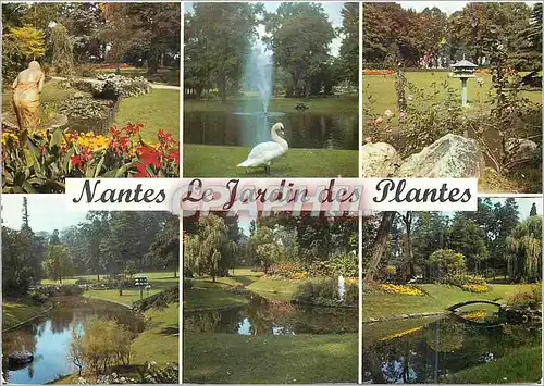 Cartes postales moderne Nantes Le Jardin des Plantes