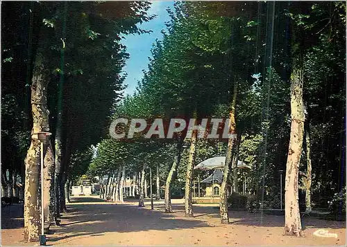 Cartes postales moderne Mazamet (Tarn) Le Jardin public