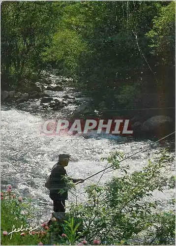 Cartes postales moderne Anguilles sour Roche Roger Arbois Peche