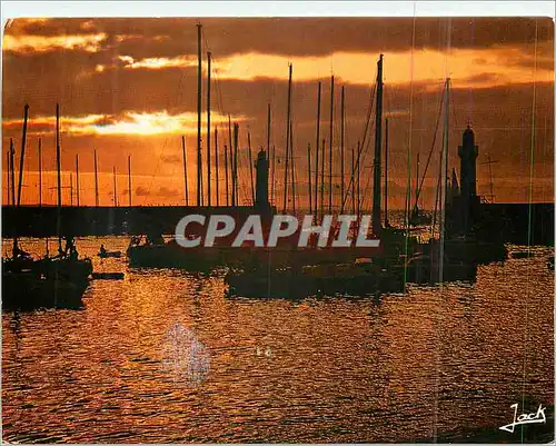 Cartes postales moderne Belle-Ile-En-Mer Le Port du Palais Bateaux de peche