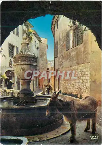 Cartes postales moderne La Cote d'Azur Saint-Paul de Vence Halte à la Fontaine Ane Donkey