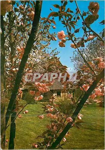 Moderne Karte Paysage normand