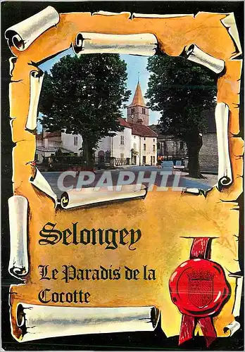 Cartes postales moderne Selongey (Cote d'Or)