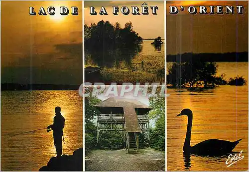 Cartes postales moderne Aux protes de Troyes Lac de la foret d'orient