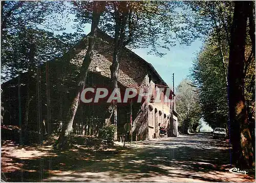 Cartes postales moderne Foret de Berce (Sarthe) Auberge Restaurant de l'Hermitiere