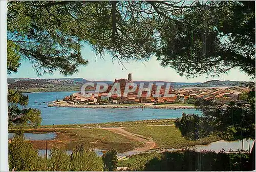 Cartes postales moderne Gruissan-Village (Aude) La Cite medievale vue des hauteurs exterieures du village