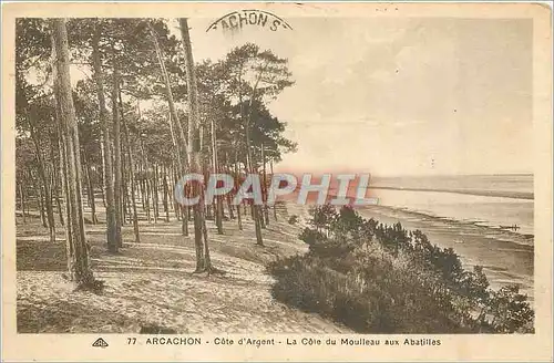 Ansichtskarte AK Arcachon Cote d'Argent La Cote du Moulleau aux Abatilles