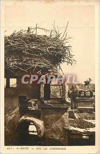 Cartes postales Alsace Nid de Cigognes