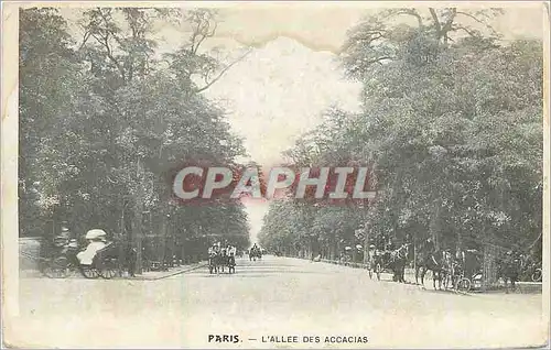 Cartes postales Paris L'Allee des Accacias