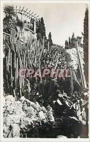 Moderne Karte Monaco Les Jardins Exotiques