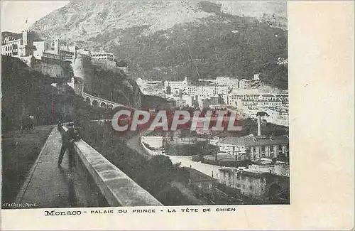 Cartes postales Monaco Palais du Prince La Tete de Chien