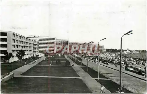 Cartes postales moderne Mamaia