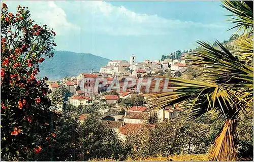 Cartes postales moderne La COte d'azur french riviera Hyeres les palmiers vue generale