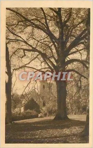 Ansichtskarte AK Juigne (Sarthe) l'eglise vue du parc du chateau