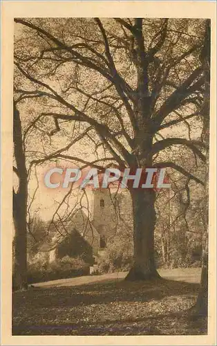 Cartes postales Juigne (Sarthe) l'eglise vue du parc du chateau