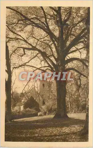 Ansichtskarte AK Juigne (Sarthe) l'eglise vue du parc du chateau