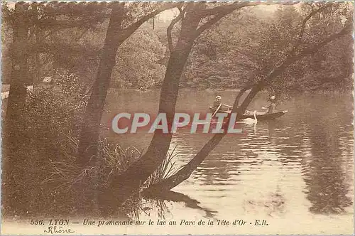 Cartes postales Lyon une promenade sur le lac au parc de la tete d'or