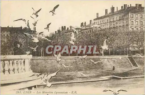 Cartes postales Lyon les mouelles lyonnaises