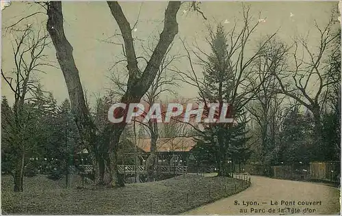 Cartes postales Lyon le pont couvert au parc de la tete d'or