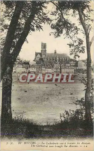 Cartes postales Nevers la cathedrale vue a travers les acacias