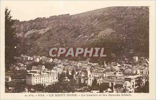 Cartes postales Le Mont Dore le casino et les grand hotels