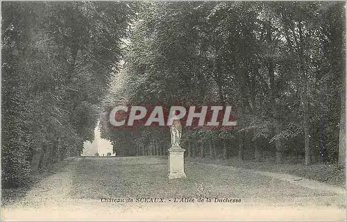 Cartes postales Chateau de Sceaux L'Allee de la Duchesse