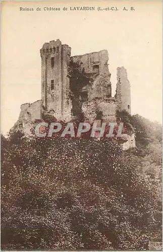 Cartes postales Ruines de Chateau de Lavardin (L et C)