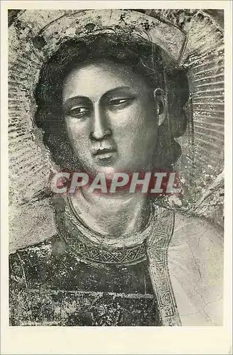 Cartes postales Padova Cappella degli Serovegni all'Arena