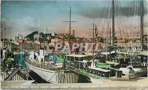 Cartes postales moderne Cannes Bateaux