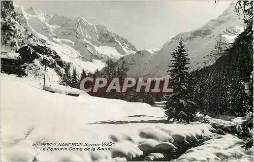 Cartes postales moderne Peisey-Nancroix-Savoie Le Ponturin Dome de la Sache