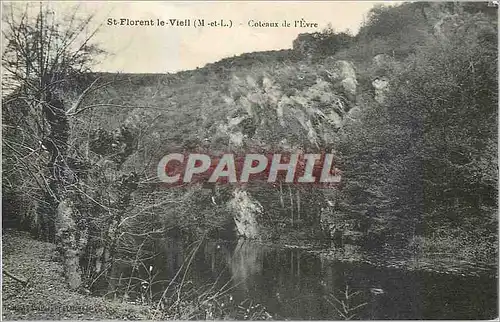 Cartes postales St Florent le Viell (M et L) Coteaux de l'Evre