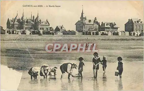 Cartes postales Cayeux-sur-Mer A Maree basic