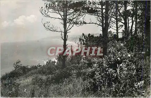 Cartes postales moderne Villlres-Sur-Mer (Calvados) Vue panoramique a travers les Pins