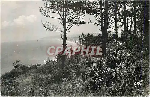 Moderne Karte Villlres-Sur-Mer (Calvados) Vue panoramique a travers les Pins