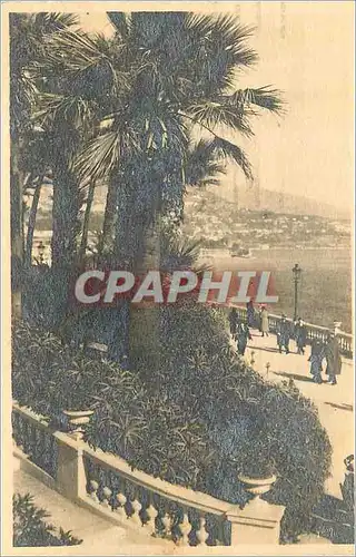 Ansichtskarte AK La Douce France Cote d'Azur Monte-Carlo La Terrasse du Casino