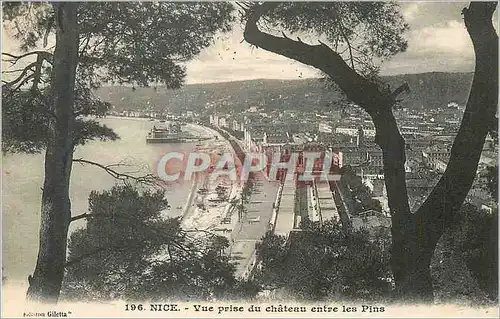 Cartes postales Nice Vue prise du chateau entre les Pins