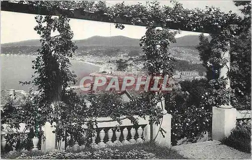 Cartes postales moderne Nice Vue prise entre les pergolas fleuries