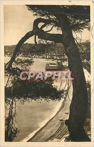 Cartes postales Nice Baie des Anges Vue entre les pins