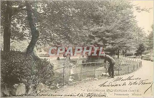 Cartes postales Besancon Promenade Micaud