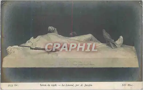 Cartes postales Salon de 1908 Le Linceul par A Jacopin