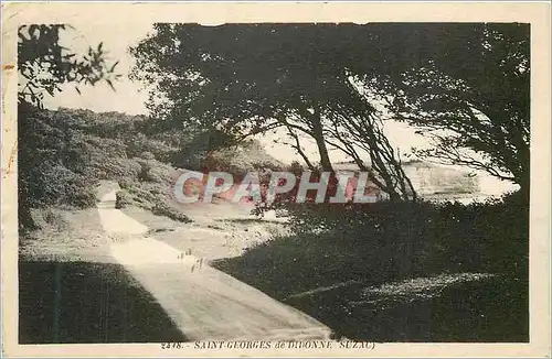 Cartes postales Saint Georges de Didonne Suzau