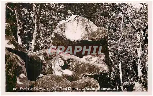 Cartes postales Foret de Fontainebleau Mont Chauvet La Roche qui remue