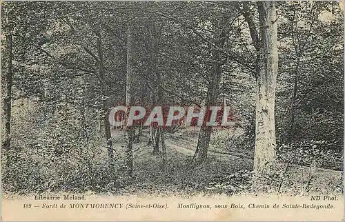 Ansichtskarte AK Foret de Montmorency (Seine-et-Oise) Montlignon sous Bois