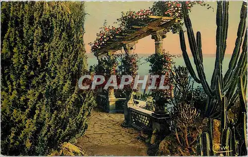 Cartes postales moderne Monaco Jardin Exotique