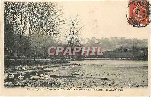 Ansichtskarte AK Lyon Parc de la Tete d'Or Bords du Lac Coteau de Saint-Clair