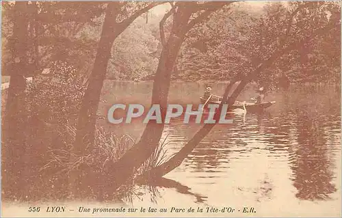 Cartes postales Lyon Une promenade sur le lac au Parc de la Tete d'Or